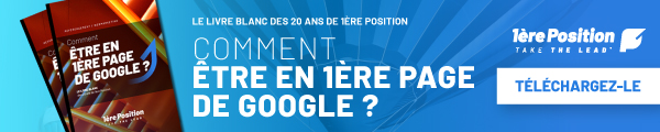 livre blanc SEO