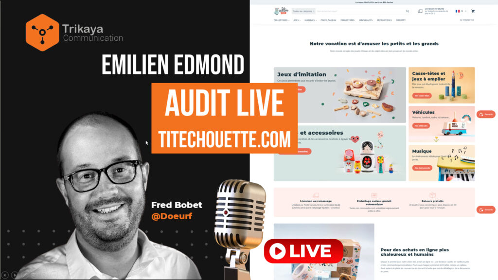 Trikaya : audit seo titechouette